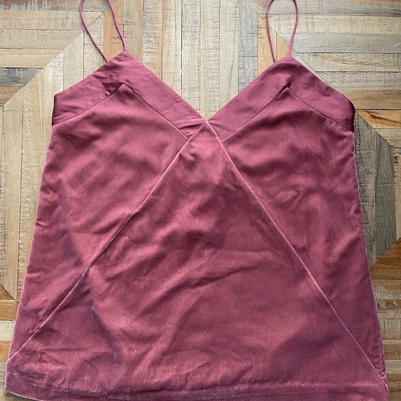 Club Monaco Old Rose Velvet Combo Cami Shirtless Top - Picture 4 of 8